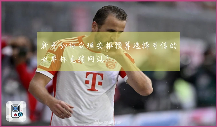 新手如何合理安排预算选择可信的世界杯竞猜网站？
