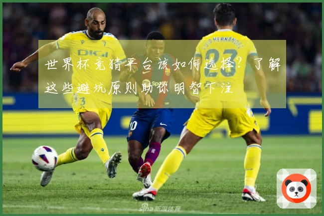 世界杯竞猜平台该如何选择？了解这些避坑原则助你明智下注