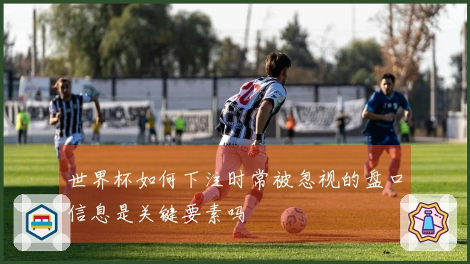 世界杯如何下注时常被忽视的盘口信息是关键要素吗