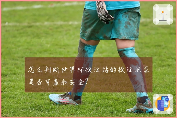 怎么判断世界杯投注站的投注记录是否可靠和安全？