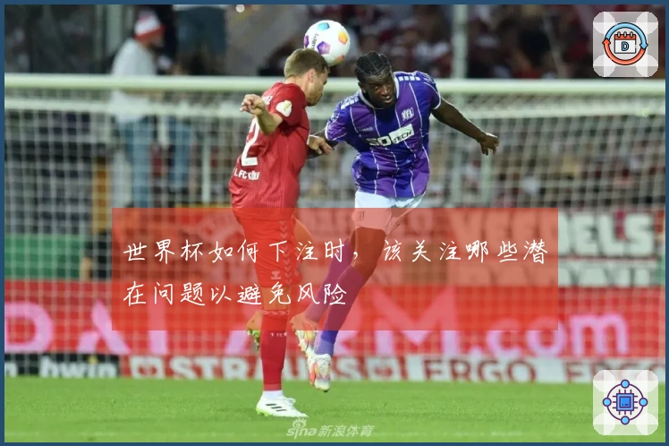 世界杯如何下注时，该关注哪些潜在问题以避免风险