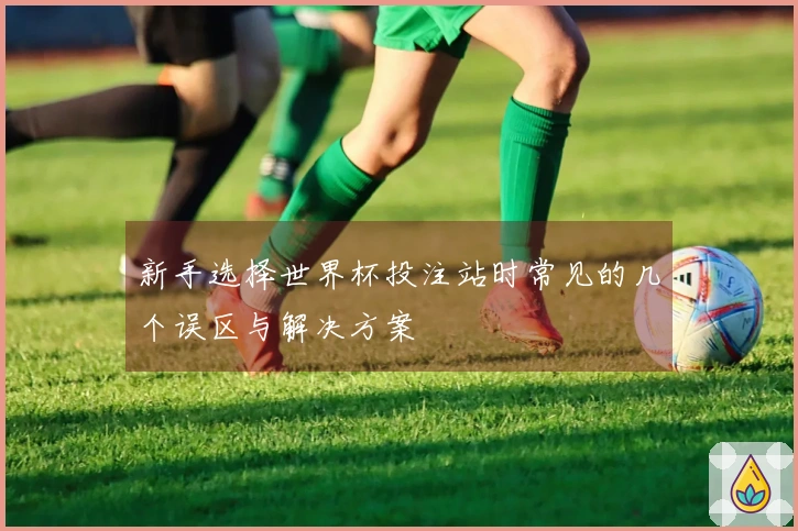 新手选择世界杯投注站时常见的几个误区与解决方案