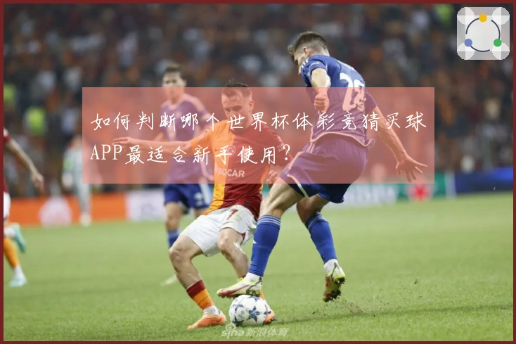 如何判断哪个世界杯体彩竞猜买球APP最适合新手使用？