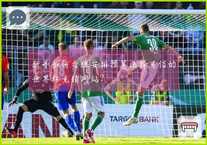 新手如何合理安排预算选择可信的世界杯竞猜网站？