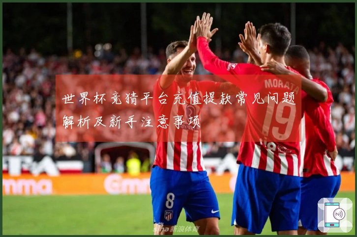 世界杯竞猜平台充值提款常见问题解析及新手注意事项