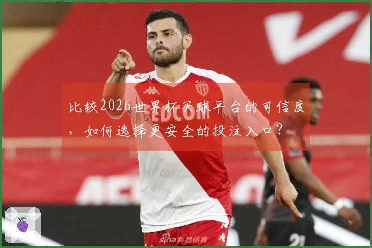 比较2026世界杯买球平台的可信度，如何选择更安全的投注入口？