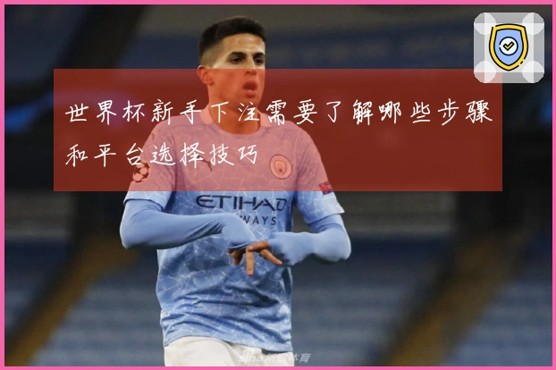 世界杯新手下注需要了解哪些步骤和平台选择技巧