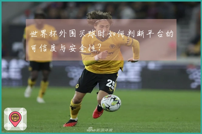 世界杯外围买球时如何判断平台的可信度与安全性？