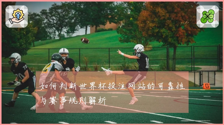 如何判断世界杯投注网站的可靠性与赛事规则解析