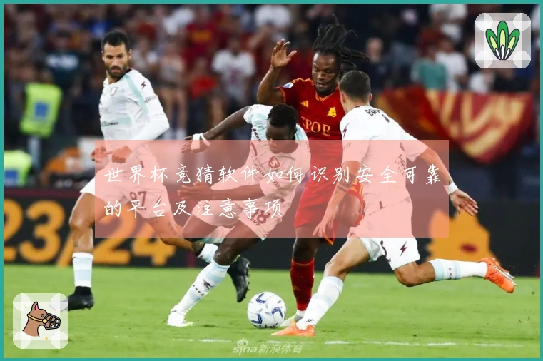 世界杯竞猜软件如何识别安全可靠的平台及注意事项