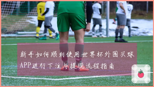 新手如何顺利使用世界杯外围买球APP进行下注与提现流程指南
