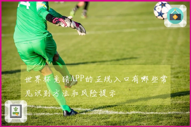世界杯竞猜APP的正规入口有哪些常见识别方法和风险提示