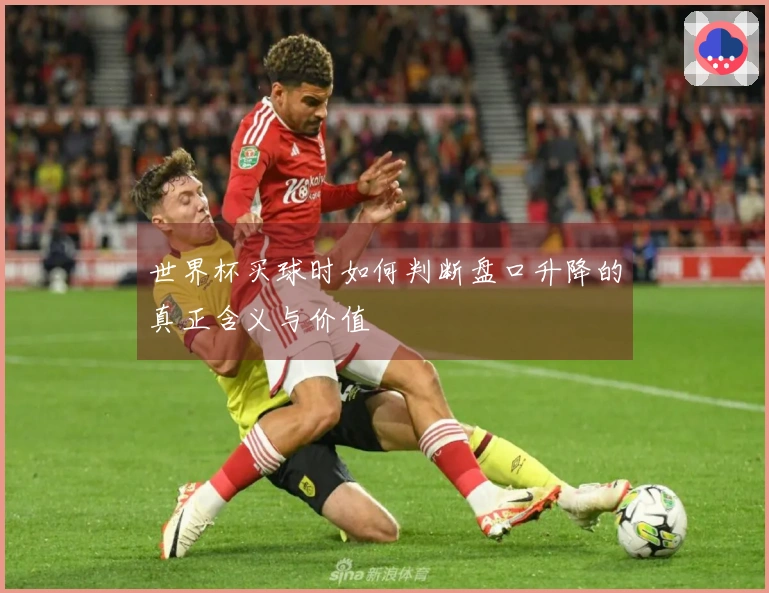 世界杯买球时如何判断盘口升降的真正含义与价值