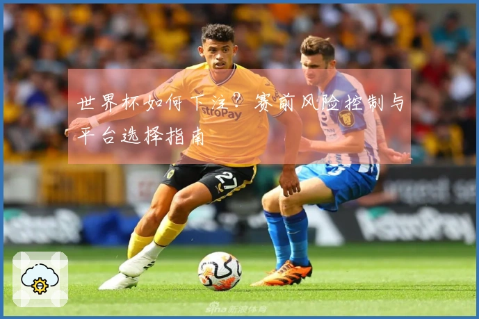 世界杯如何下注？赛前风险控制与平台选择指南