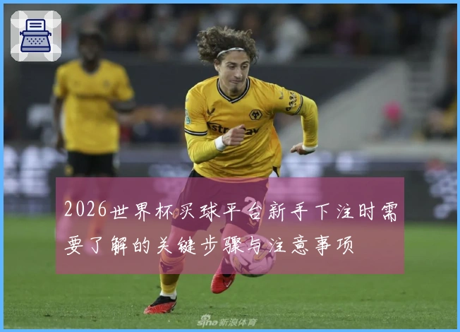 2026世界杯买球平台新手下注时需要了解的关键步骤与注意事项