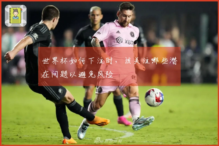 世界杯如何下注时，该关注哪些潜在问题以避免风险