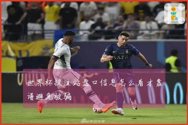 世界杯投注站盘口信息怎么看才靠谱避免被骗