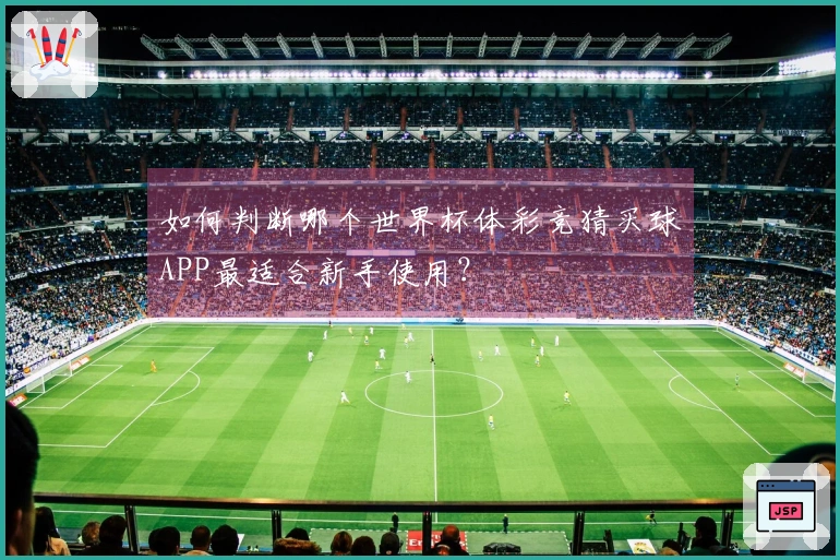 如何判断哪个世界杯体彩竞猜买球APP最适合新手使用？