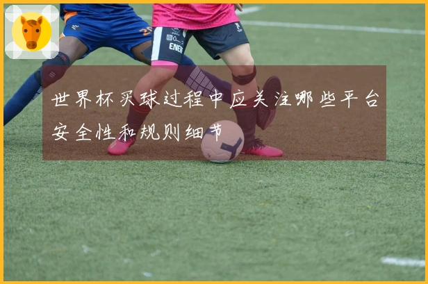 世界杯买球过程中应关注哪些平台安全性和规则细节