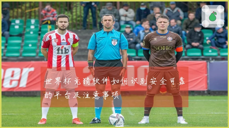 世界杯竞猜软件如何识别安全可靠的平台及注意事项