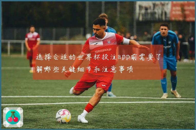 选择合适的世界杯投注app前需要了解哪些关键细节和注意事项
