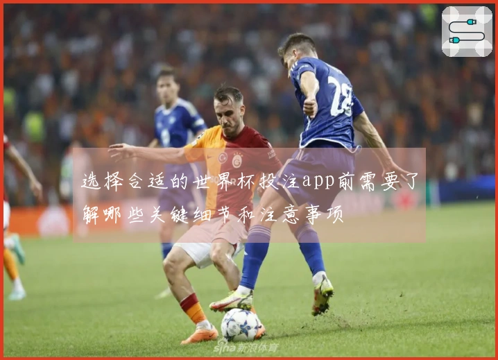 选择合适的世界杯投注app前需要了解哪些关键细节和注意事项