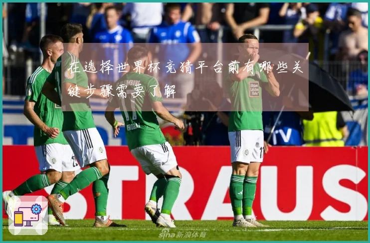 在选择世界杯竞猜平台前有哪些关键步骤需要了解